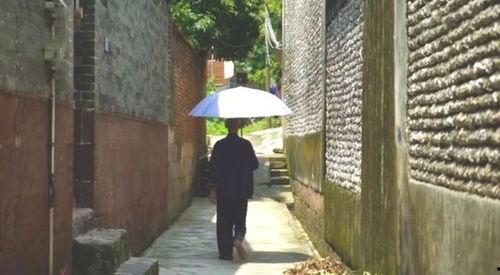 德清吃瓜群众事件,一场网络舆论的风暴与反思