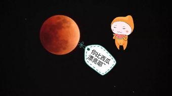 看月亮吃瓜,一场浪漫的夜宵盛宴